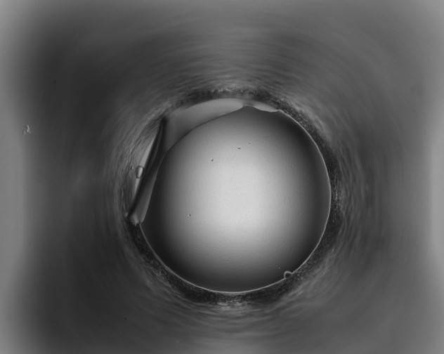 X0000094950591200712061253