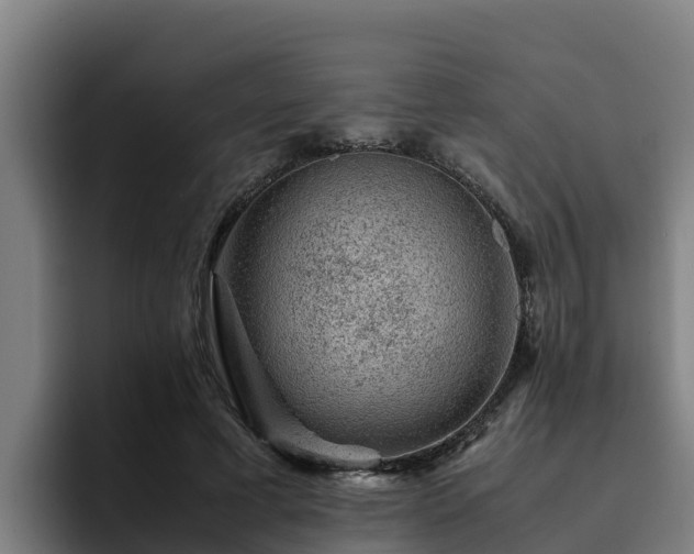 X0000094950593200712061253