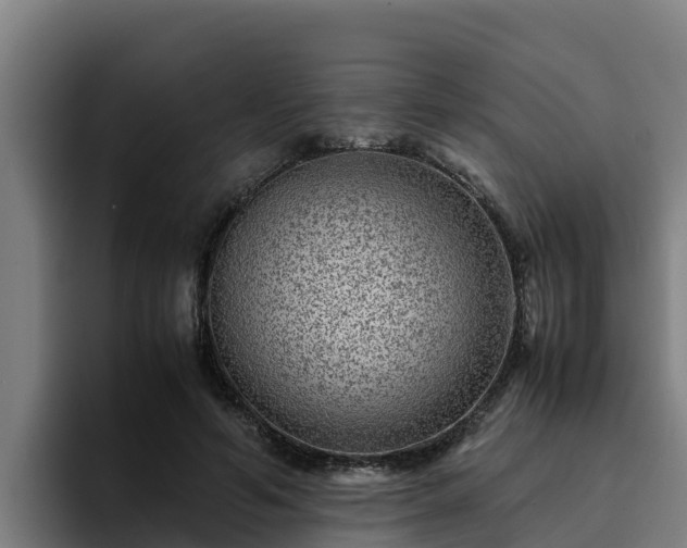 X0000094950594200712061253