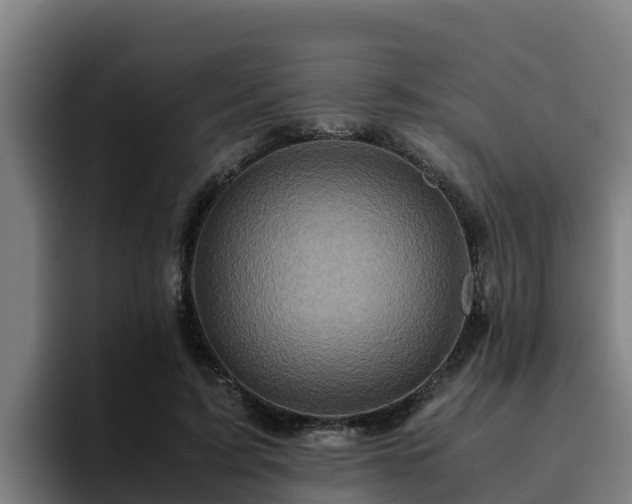 X0000094950595200712061253