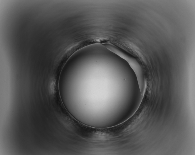 X0000094950596200712061253