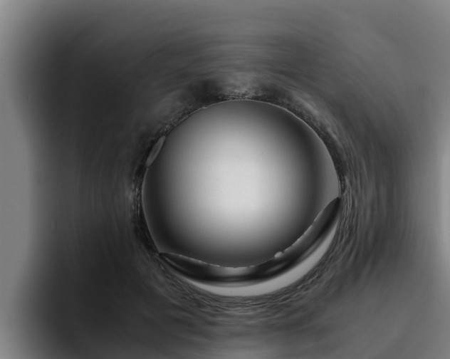 X0000094950601200712061253