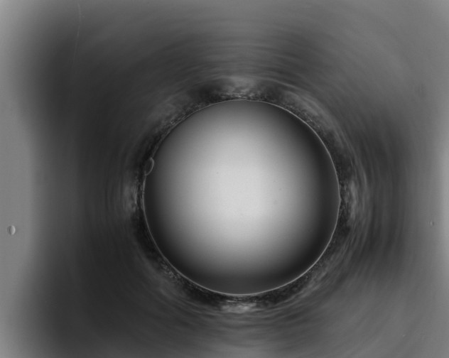 X0000094950602200712061253