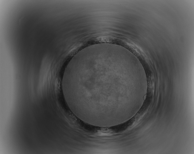 X0000094950603200712061253