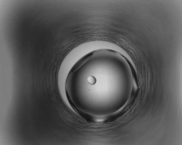 X0000094950605200712061253