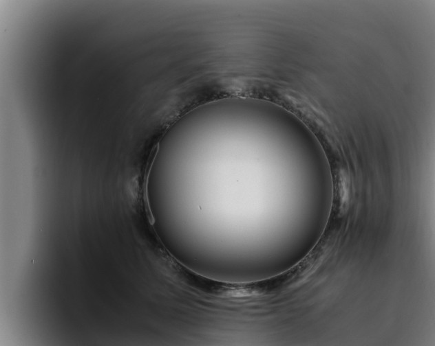 X0000094950611200712061252