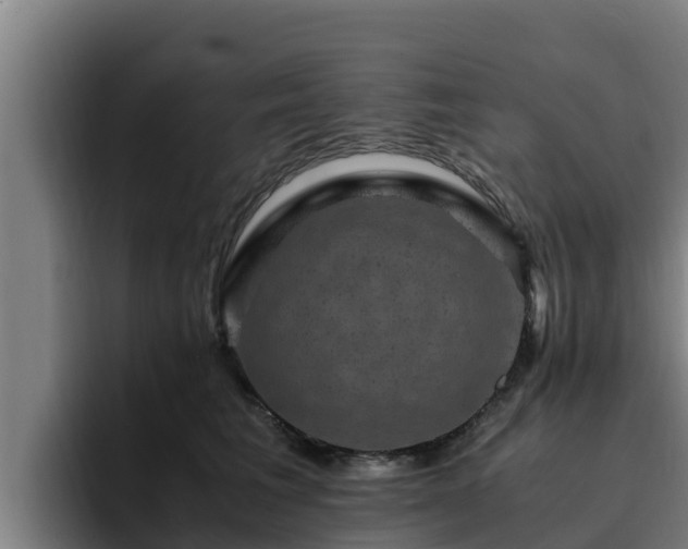 X0000094950613200712061252