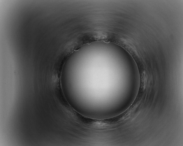 X0000094950614200712061252