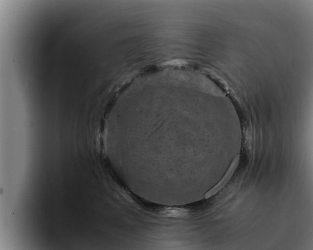 X0000094950617200712061252