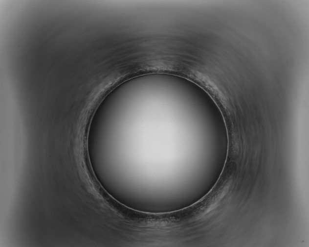 X0000094950625200712061252