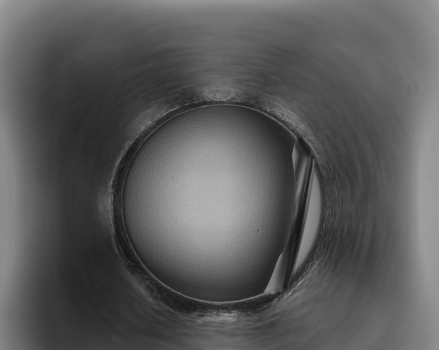 X0000094950626200712061252