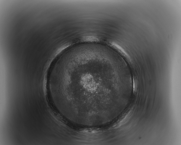 X0000094950627200712061252