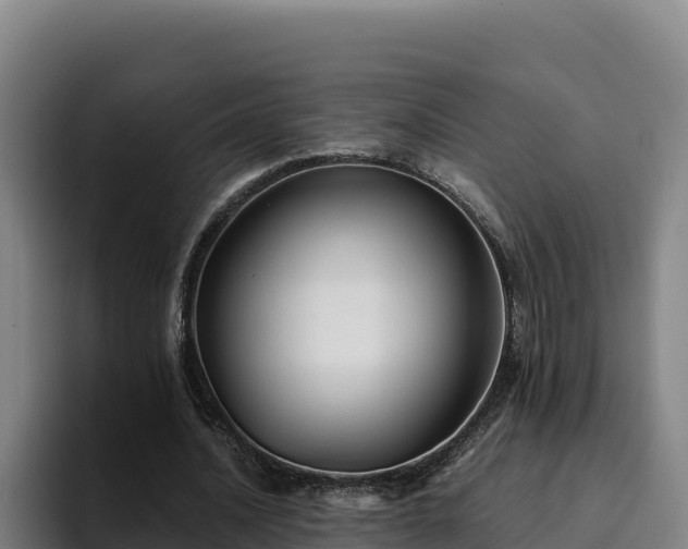 X0000094950628200712061252