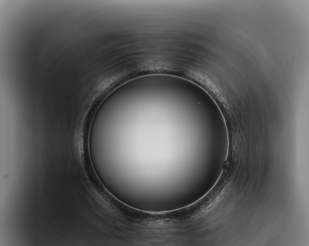 X0000094950629200712061252