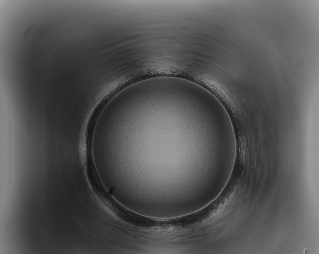 X0000094950630200712061252