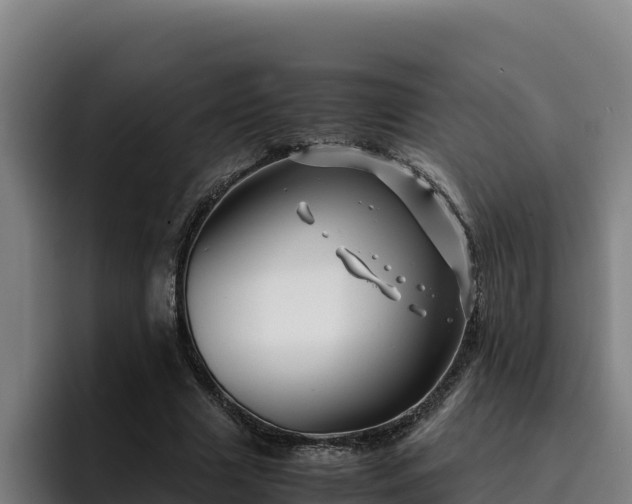 X0000094950633200712061252