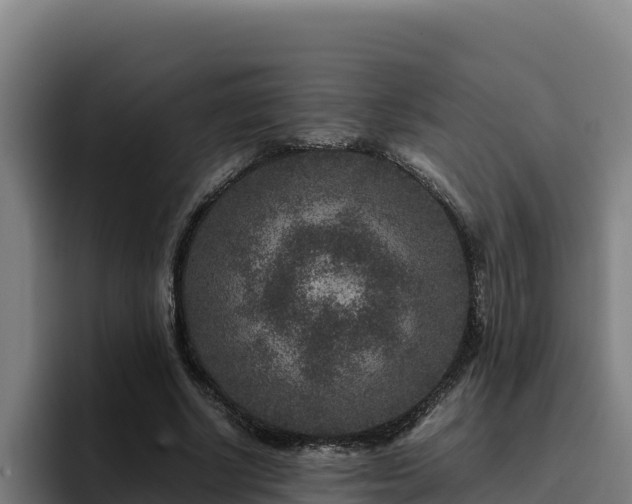 X0000094950634200712061252