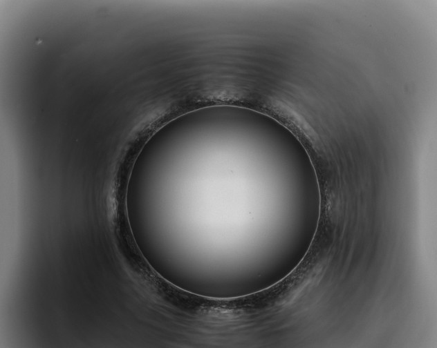 X0000094950635200712061252