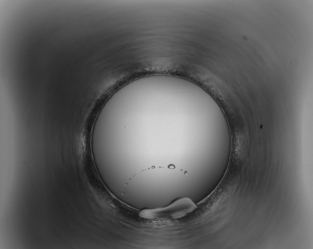 X0000094950636200712061252