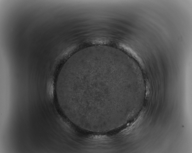 X0000094950637200712061252