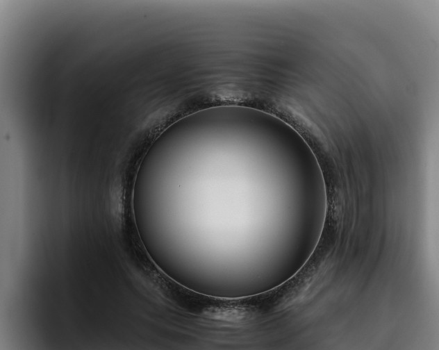 X0000094950639200712061252