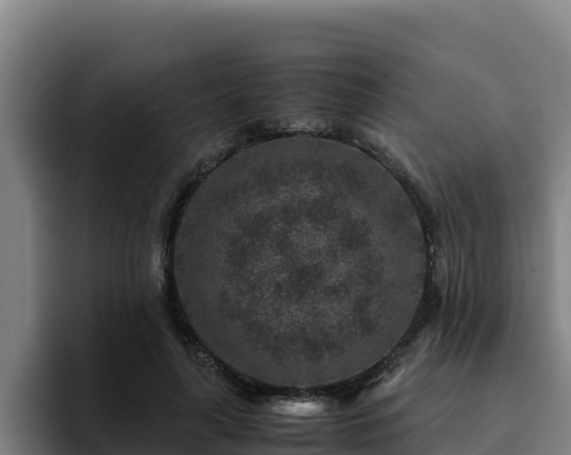 X0000094950643200712061252