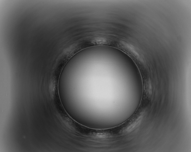 X0000094950645200712061252