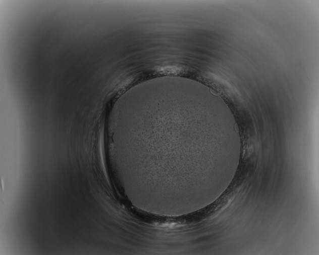 X0000094950647200712061252