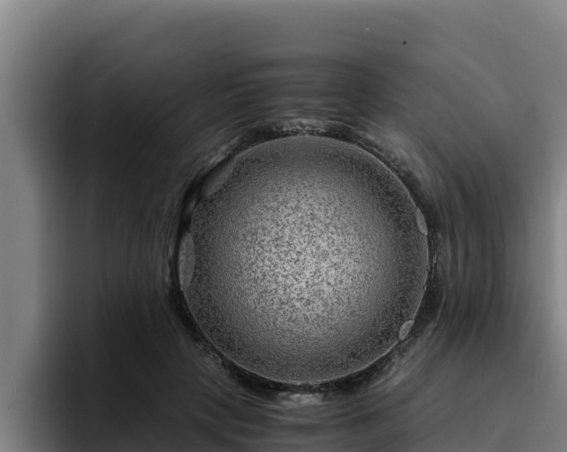 X0000094950649200712061252