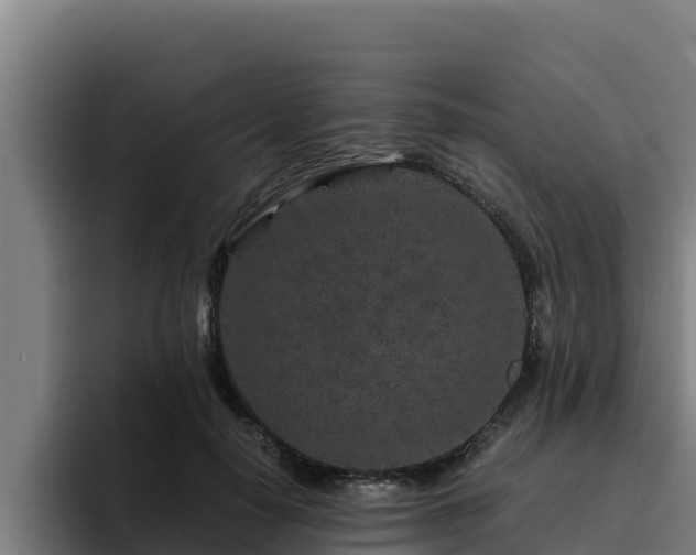 X0000094950650200712061252