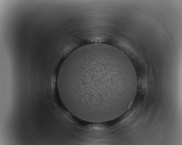 X0000094950652200712061252