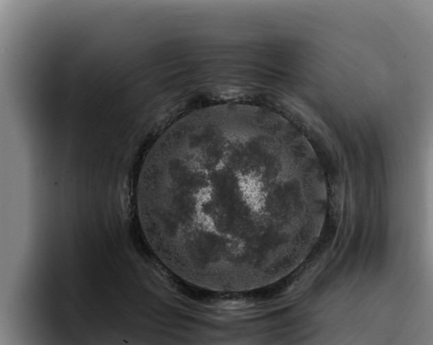 X0000094950653200712061252