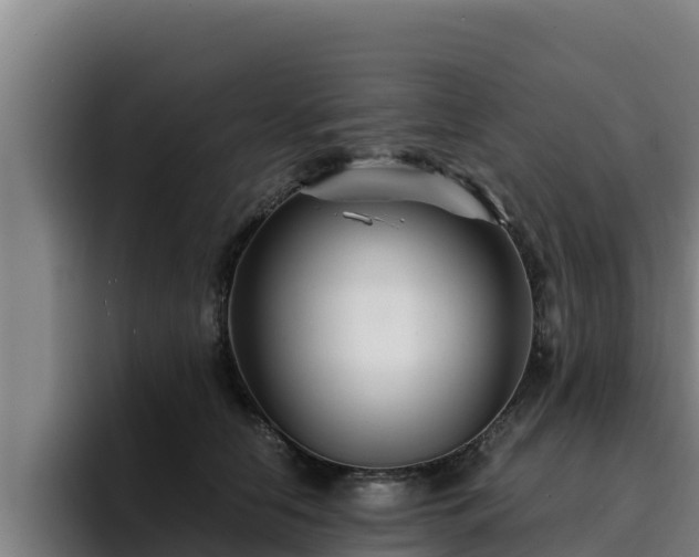 X0000094950658200712061252