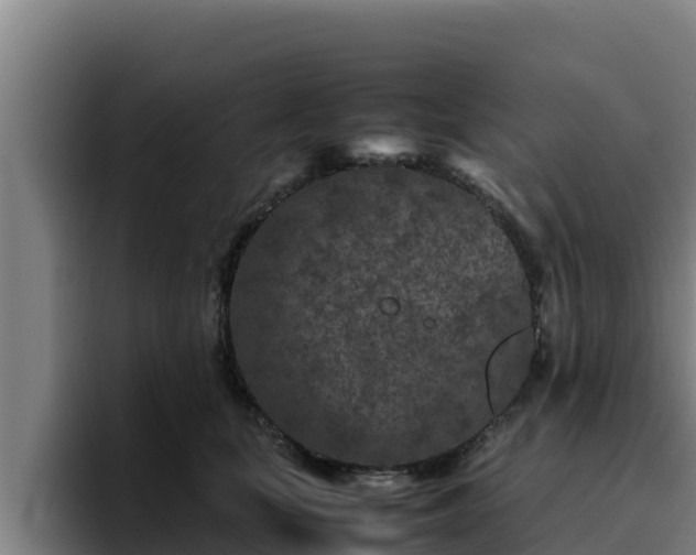 X0000094950659200712061252