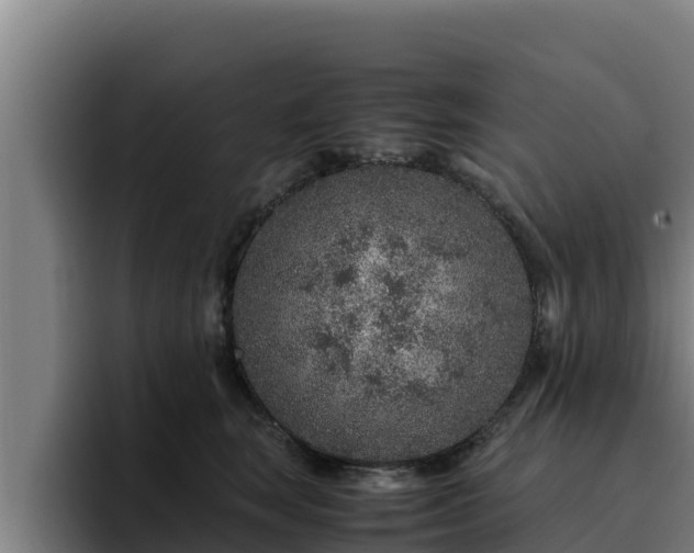 X0000094950663200712061252