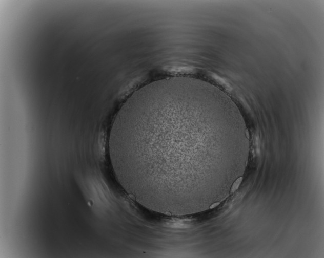 X0000094950664200712061252