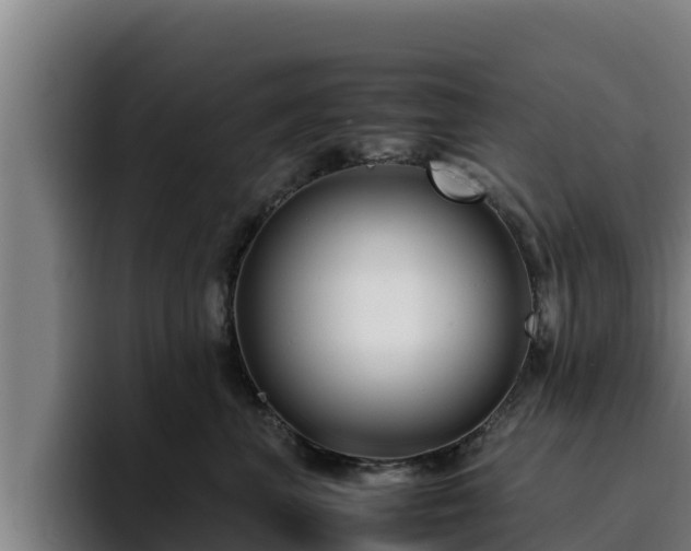 X0000094950667200712061252