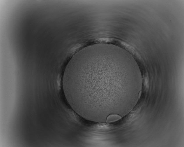 X0000094950668200712061252