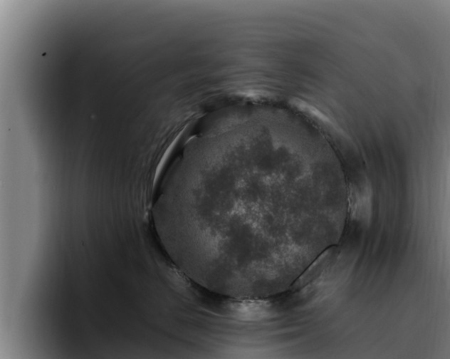 X0000094950670200712061252