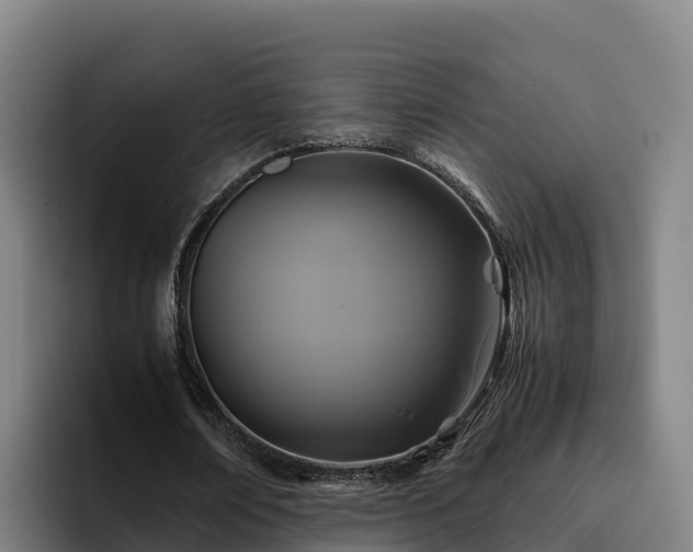 X0000094950674200712061252