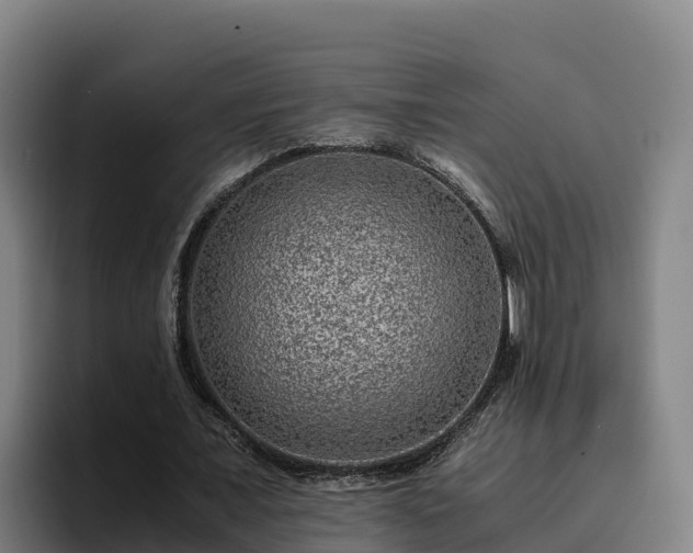 X0000094950675200712061252