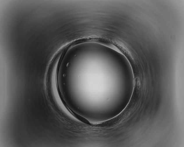 X0000094950676200712061252