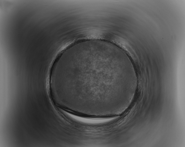 X0000094950677200712061252