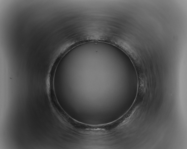 X0000094950678200712061252