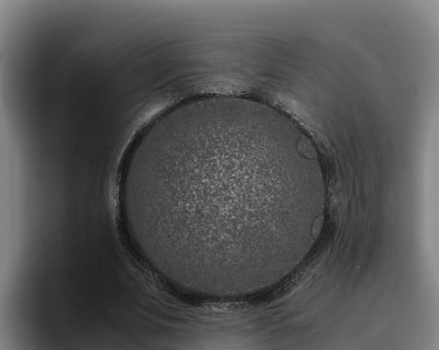 X0000094950679200712061252