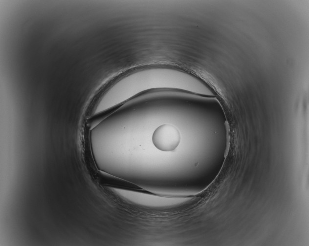 X0000094950680200712061252