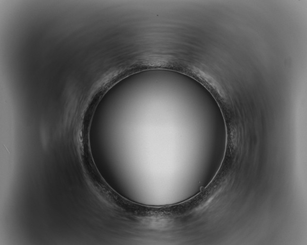 X0000094950682200712061252