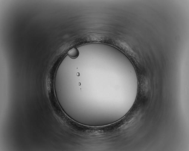 X0000094950683200712061252