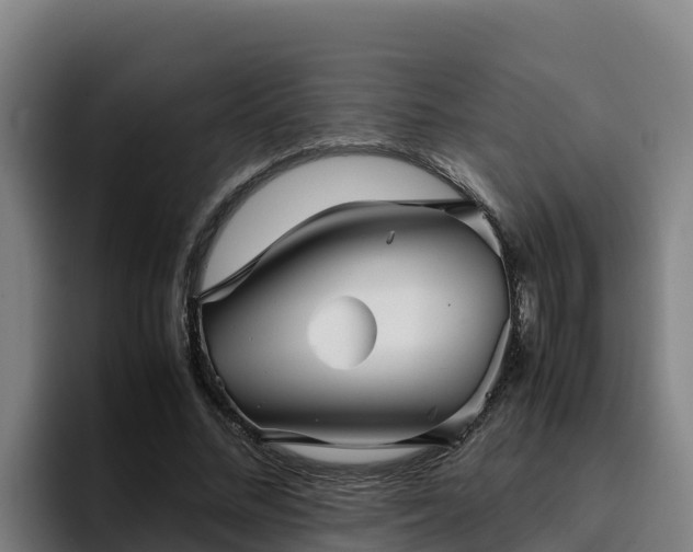 X0000094950684200712061252