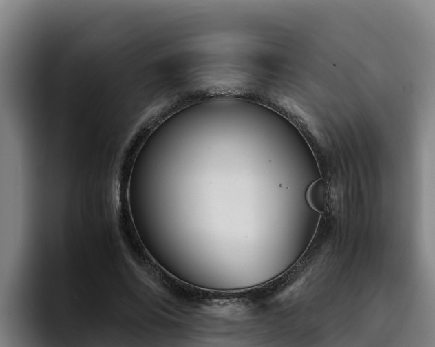 X0000094950686200712061252